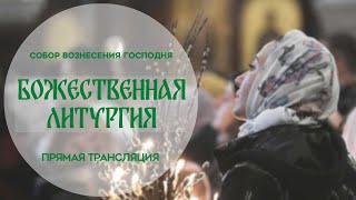 🔴Божественная Литургия.Прямая трансляция