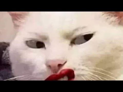 Ajaa Ibuma Ani Yaadee Hin Beeku Isin Maal Jettumee