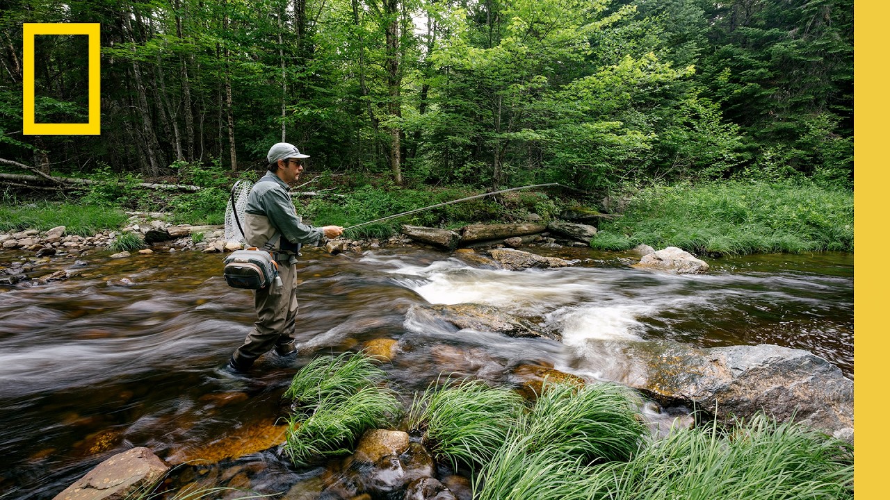 Discovering the Mountains, Rivers, and Lakes of Maine | National Geographic – Video