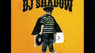 Dj Shadow - Artifact