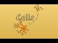 Lasseter ap bio 04  cells