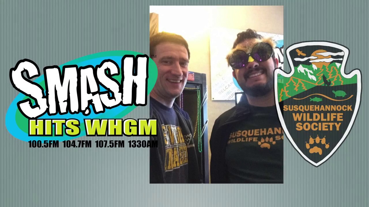video to gif Smash Hits WHGM Radio Interview with Susquehannock Wildlife Society 4/7/17