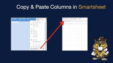 Smartsheet Copy Columns with Settings and Paste to Another Sheet or the Same Sheet