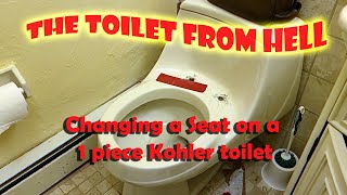 Before You Buy a Kohler One Piece Toilet, Watch this Video on Replacing a Toilet Seat.
