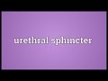 Urethral sphincter Meaning