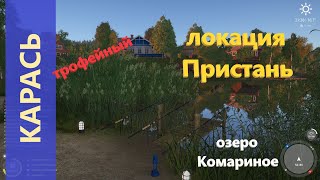 Русская рыбалка 4 - озеро Комариное - Карась трофейный на ручейника
