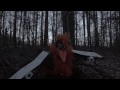 Capture de la vidéo Birdplane - The Axis Of Awesome (Tyler Philie)