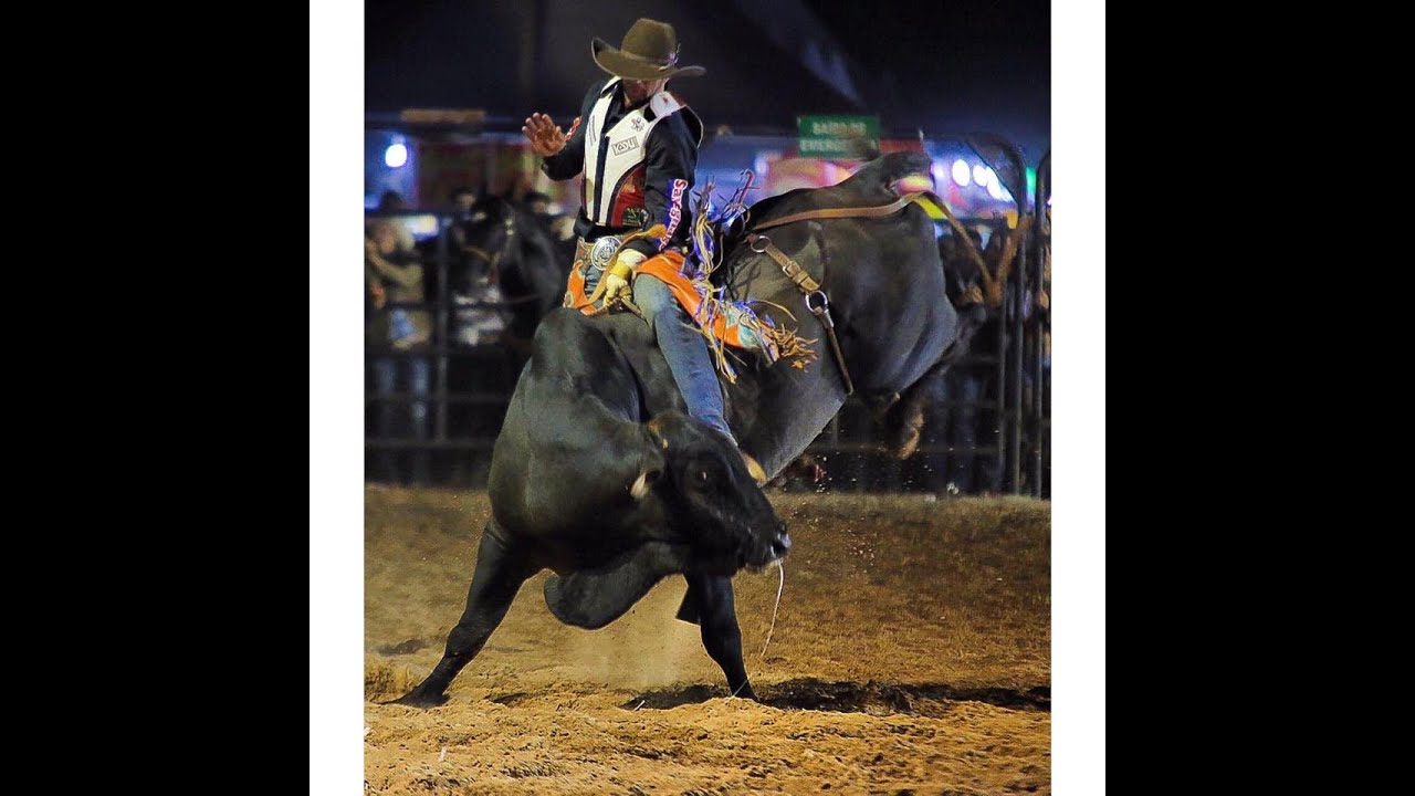 Ribeirão Rodeo Music terá três modalidades de rodeio cavalos