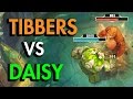 DAISY VS TIBBERS!