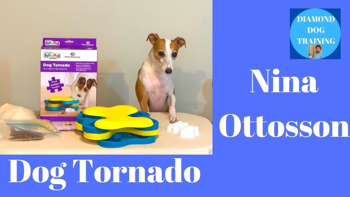 Omega Paw Tricky Treat Ball Dog Toy Medium