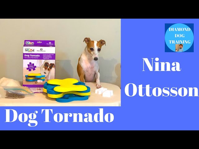 Outward Hound Nina Ottosson Dog Tornado Puzzle Toy – Stimulating  Interactive Dog