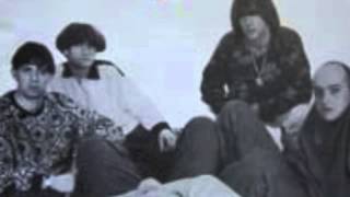 Watch Inspiral Carpets Skidoo full Length video