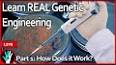 The Ever-Evolving Field of Genetic Engineering ile ilgili video