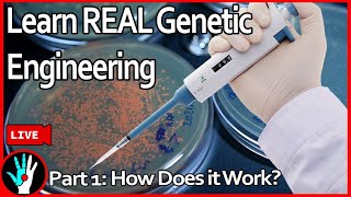 [LIVE] Learn Genetic Engineering - Part 1: How does it work?