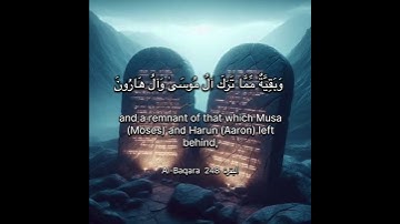 سورة البقرة الاية 248 ‏Surah Al-Baqara Ayahا#quran #surahalbaqarah #القرآن #chorts #اكسبلور_explore
