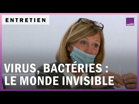 Vidéo: Virus - Amis Et Ennemis En Même Temps - Vue Alternative