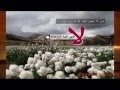 ماذا فعل هذا الشاب بوالدته تذكر برك بوالديك ماذا فعل هذا الشاب بوالدته تذكر برك بوالديك