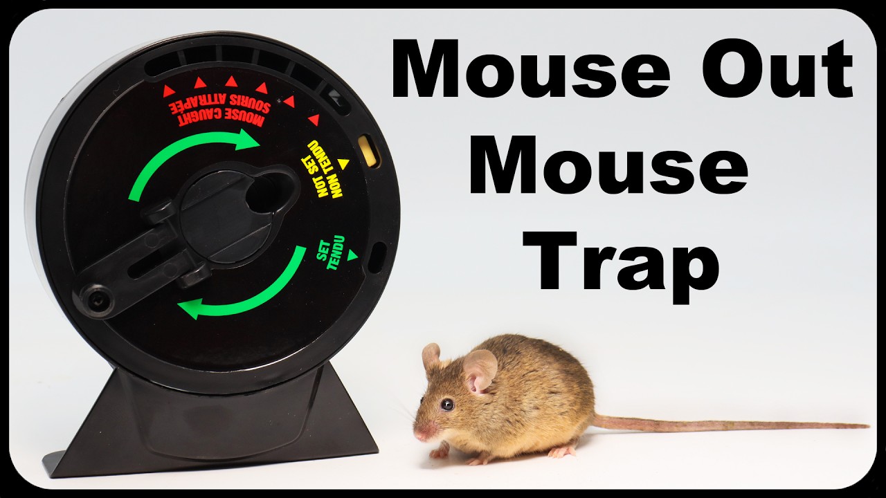 Dizzy Dunker - The World's Greatest Mouse Trap. Mousetrap Monday