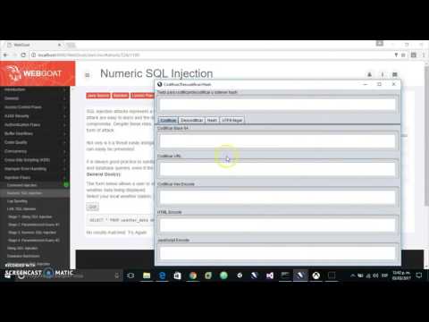 [Security] Numeric SQL Injection over WebGoat