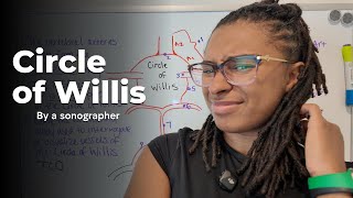 Circle Of Willis Explained By A Sonographer Vascular Ultrasound