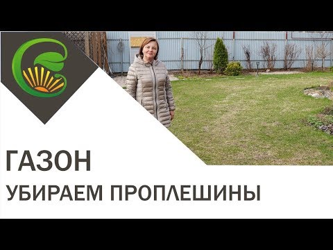 Как убрать проплешины на газоне