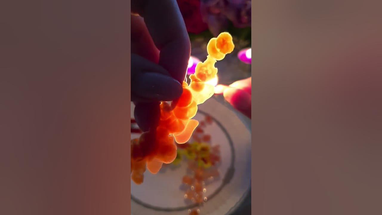 Гадание на воске фото. Рак воск гадание. Расплавленный воск в воде. Воск на воду на ютубе. Рак воск гадание.