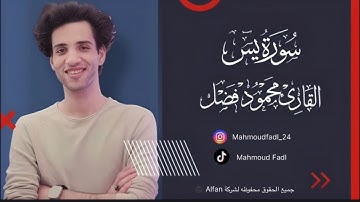 سورة ياسين كامله (طارده للحسد والسحر وقاضية الحاجات ) القارئ محمود فضل - Sorat Yasin Quraan