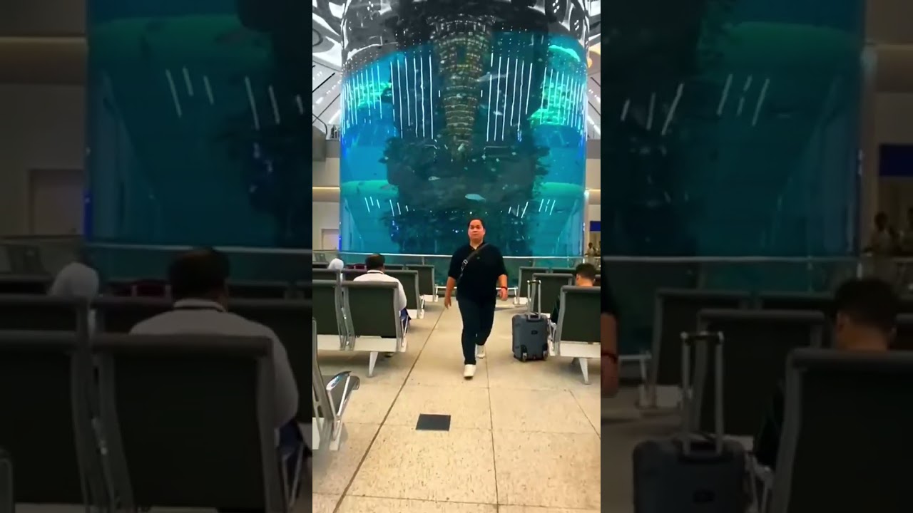 Watch Biggest Airport Aquarium in #JeddahAirport #jeddah #saudiarabia #itsmelodi on YouTube Watch Biggest Airport Aquarium in #JeddahAirport #jeddah #saudiarabia #itsmelodi on YouTube