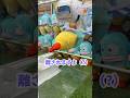 【クレーンゲーム】双子の相方の為にハンギョドンを捕獲したい‼️