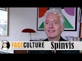 Spinvis interview - Erik de Jong (2020)