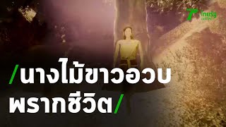 นางไม้ขาวอวบ พรากชีวิตทีมขุดทอง | 23-04-63 | ไทยรัฐนิวส์โชว์