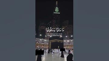 آلقران الكريم - سورة آل عمران - آلاية [ 156 ] القارئ ياسر الدوسري