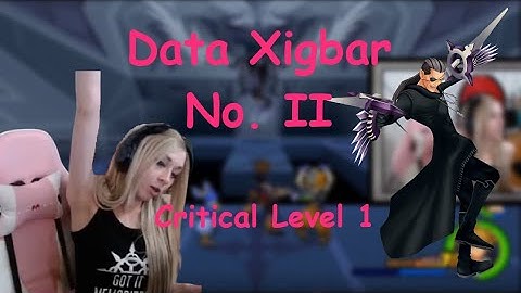 Kingdom Hearts II Final Mix Level 1 Critical - Data Xigbar Fight