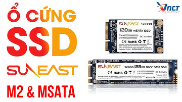 Ổ cứng SSD SUNEAT M2 và SSD SUNEAT MSATA - Hiệu năng vượt trội - Thiết kế mới lạ | VNCT Channel