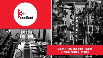 IML Robot | 12 cav IML Side-Entry Robot + Vision Inspection