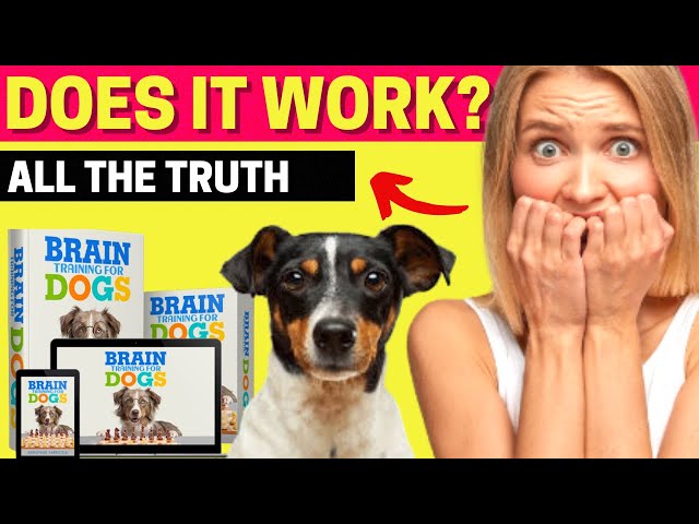 Brain Training For Dogs PDF Book (Adrienne Farricelli)