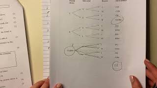 Maths Lit - Paper 2 Nov 2022 (Q2.2. - tree diagrams & probability)