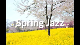 Smooth jazz music for studying, working, relaxing, and sleeping 🎵