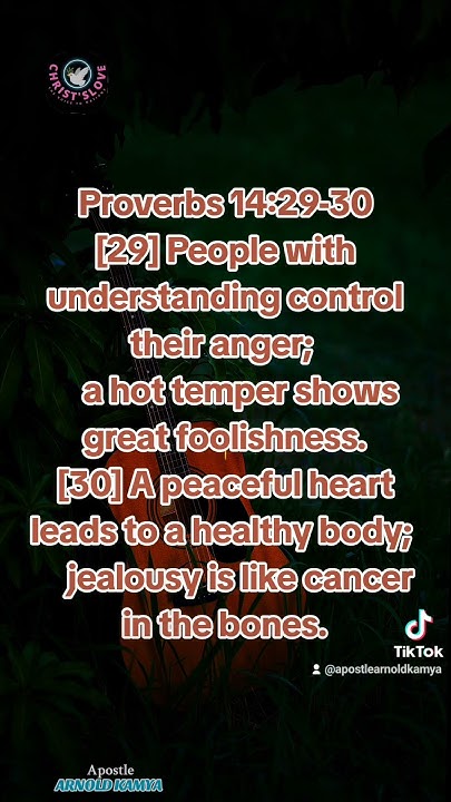 proverbs-14-29-30-apostlearnold-bibleverse-christianfaith-youtube