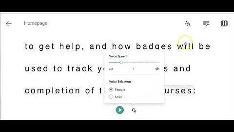 How to use Immersive Reader Features