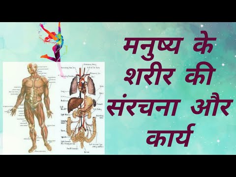 मनुष्य के शरीर की संरचना और कार्य / Structure and work of human body | Gk, Samanya gyan