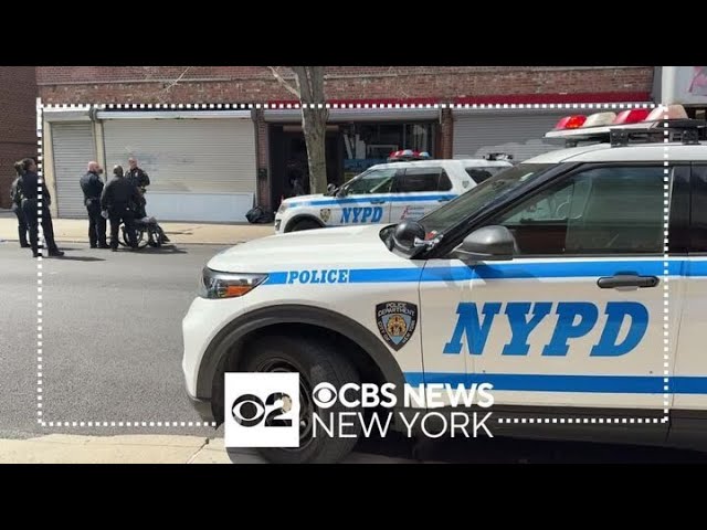 2 Stabbed In Queens Suspect In Custody Nypd Says