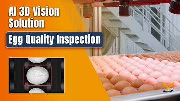 AI 3D Vision System for Egg Quality Inspection | Food Safety Automation