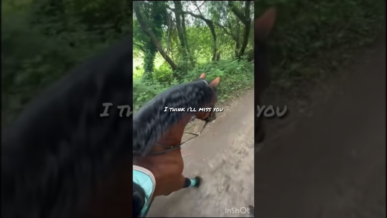 poor guy… glad they care and arent riding him anymore 😢 