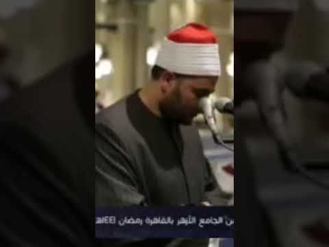 ترتيل من سورة يوسف بصوت الشيخ محمد سالم عامر