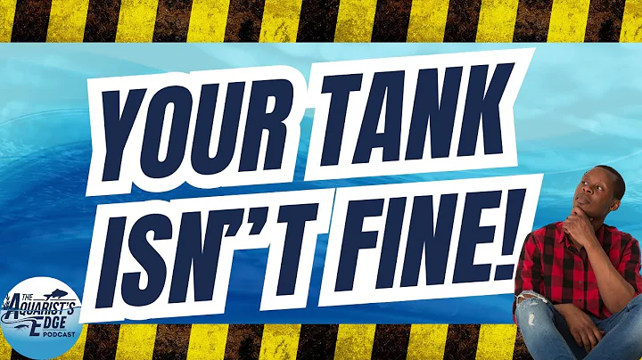 Don’t Assume You Know: Hidden Freshwater Aquarium Mistakes That Kill Fish