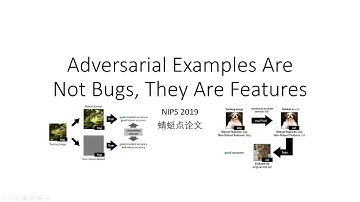 【蜻蜓点论文】Adversarial Examples Are Not Bugs, They Are Features