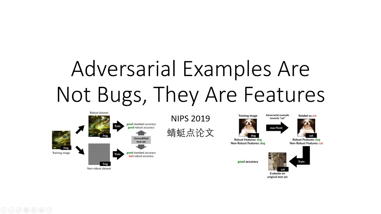 adversarial-examples-are-not-bugs-they-are-features-youtube
