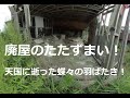 廃屋のたたずまいと天国に逝った蝶々の羽ばたき！The appearance of an abandoned house！　180度3DVR　oculus go！