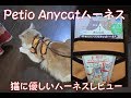 【猫商品レビュー1】猫に優しいハーネスレビュー（Anycatハーネス）/Introduction of big cat harness.